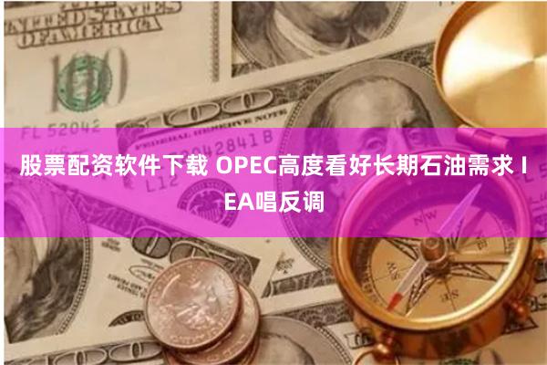 股票配资软件下载 OPEC高度看好长期石油需求 IEA唱反调