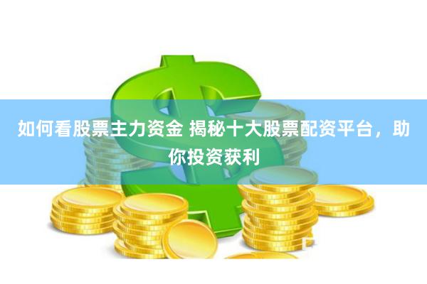 如何看股票主力资金 揭秘十大股票配资平台，助你投资获利