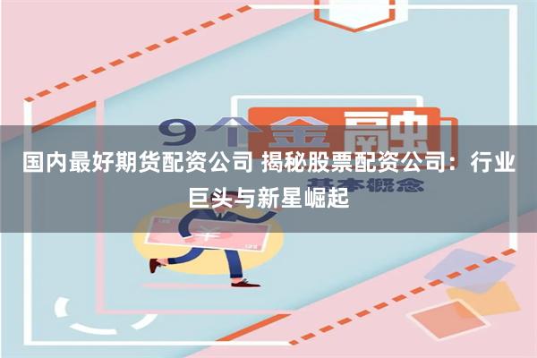国内最好期货配资公司 揭秘股票配资公司：行业巨头与新星崛起